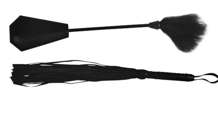 PLUMA Y LATIGO