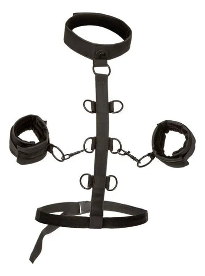 BOUNDLESS COLLAR BODY