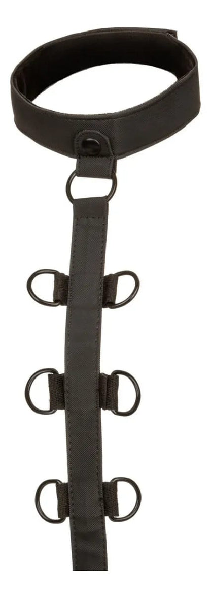 BOUNDLESS COLLAR BODY